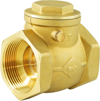 Brass Non-Return Valve 2" – Reliable Backflow Protection